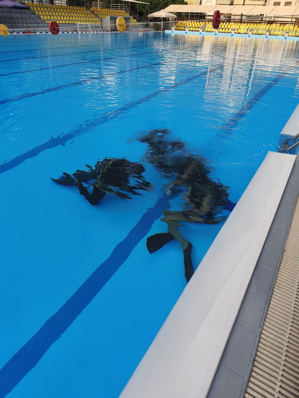 εικόνα_Viber_2025-06-14_21-08-39-649