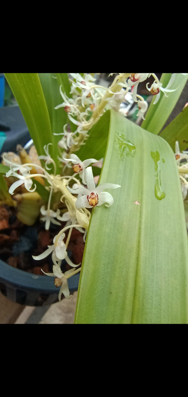 Screenshot_20220712-165213_Reddit