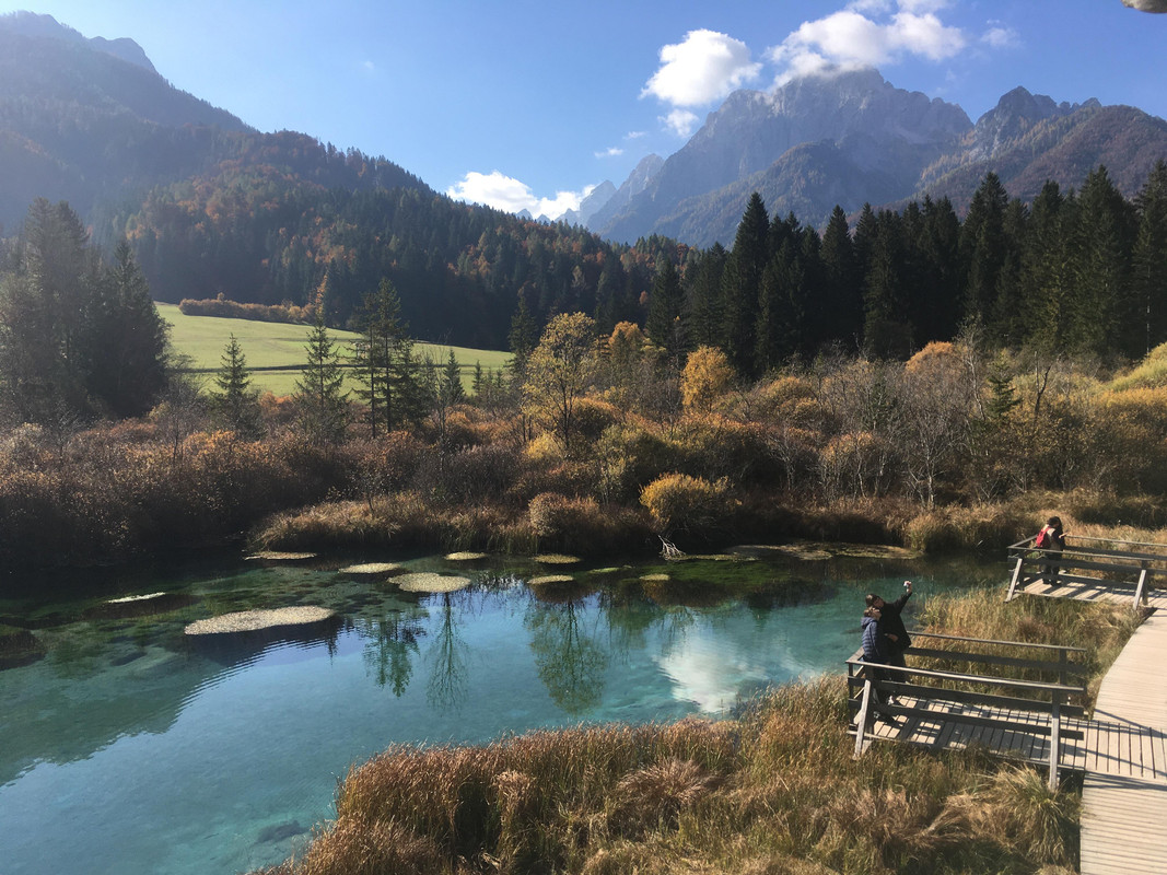 image_zelenci