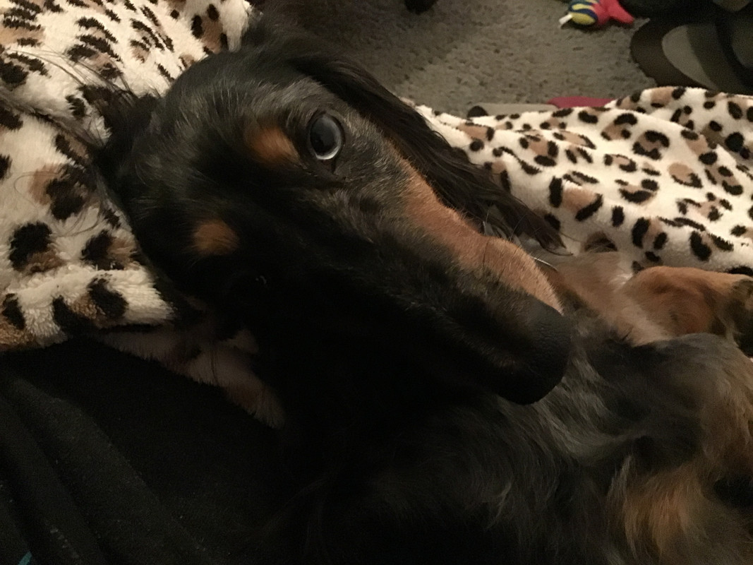 [Image: 6610571-D-723-A-4-FD3-A99-B-743-CB764-D0-F6.jpg]