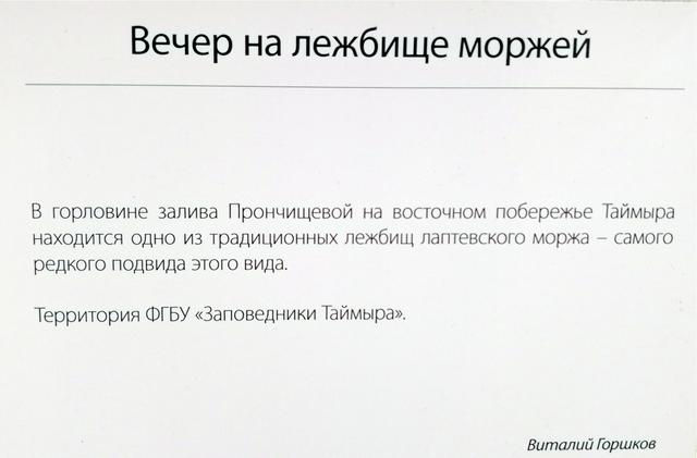 https://i.postimg.cc/NftKwz50/103-IMG-20190123-122614.jpg