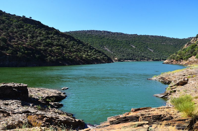 PARQUE NACIONAL DE MONFRAGÜE-2020/2023 - EXTREMADURA Y SUS PUEBLOS -2010-2023 (172)