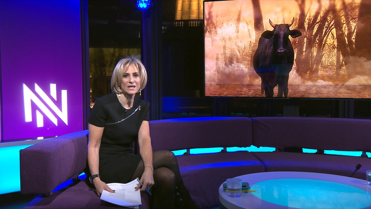 Newsnight_20201202_22452325.ts_snapshot_33.48.431