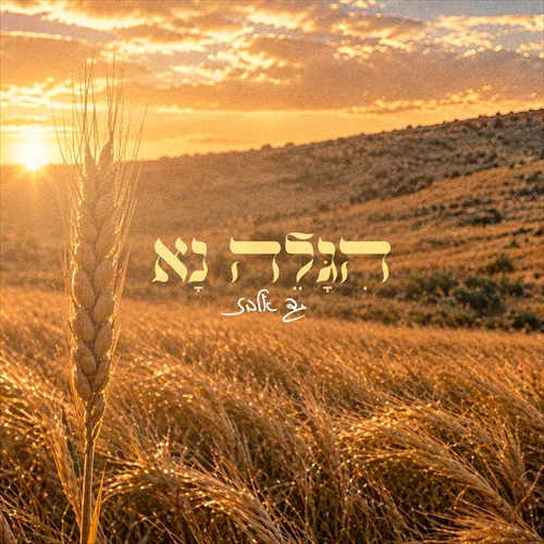 תמונה