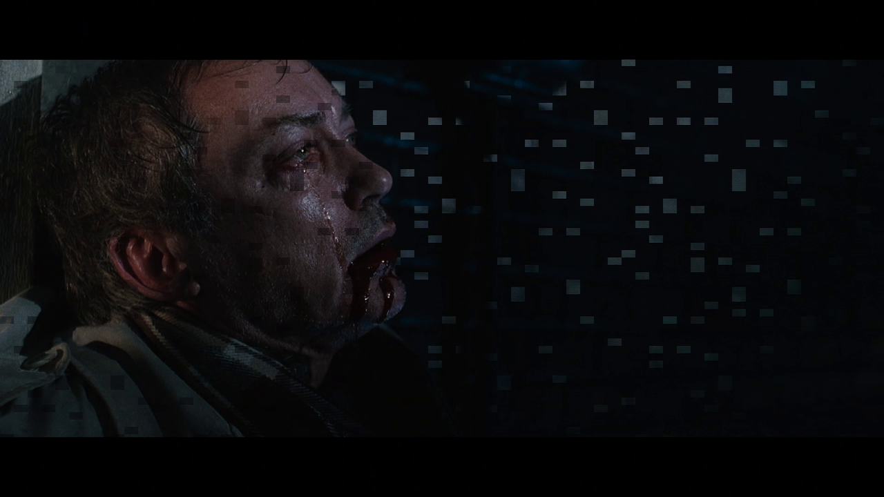 vlcsnap-2024-12-10-17h16m56s354