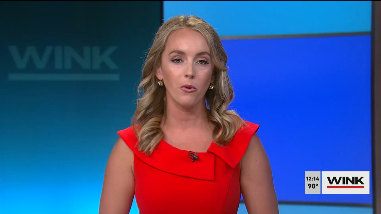 07.12 - 17.00.00 - The WINK Noon News  ᴺᵉʷ. Midday news update..ts_snapshot_21.15.756