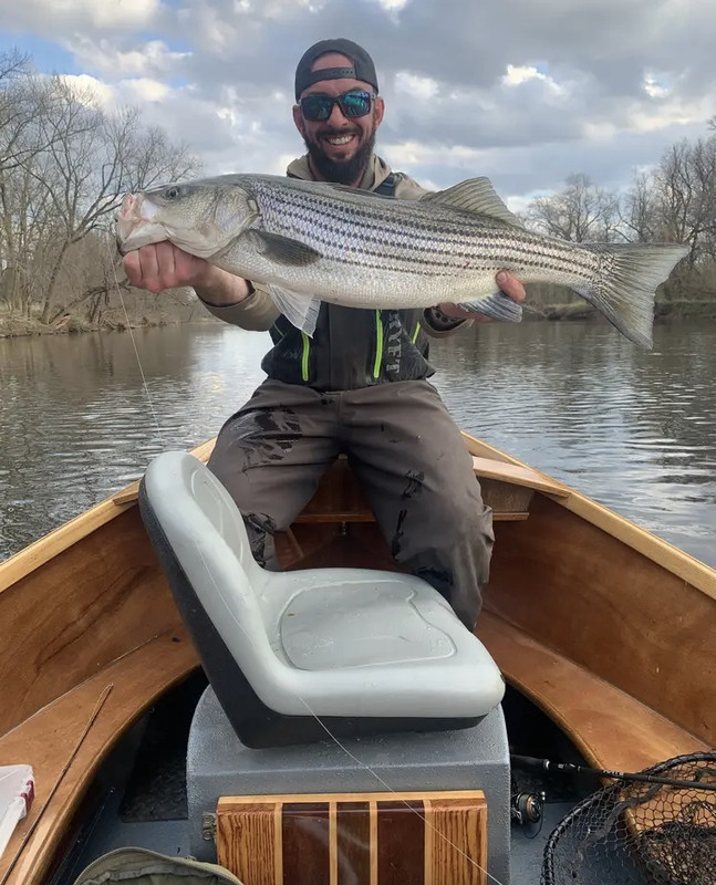 713455D5-5C9B-4240-BE81-D8495656568F