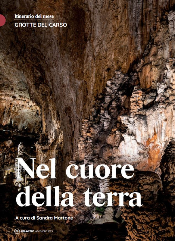 melaverde Nov 2023 (5)