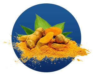 Turmeric