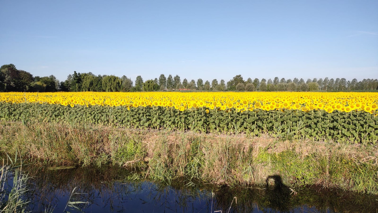 D072AE68-8412-41C7-81B4-40FEA01A0F41