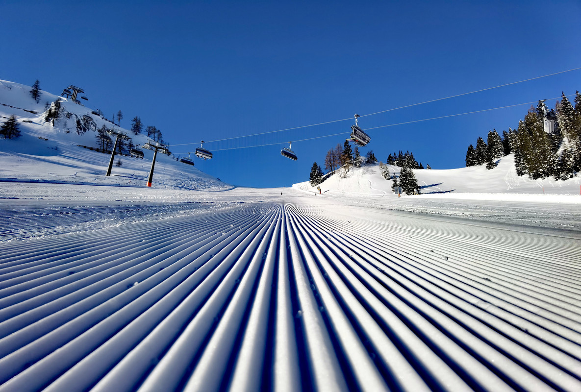 IMG_20220204_093026_edit_759246542240918