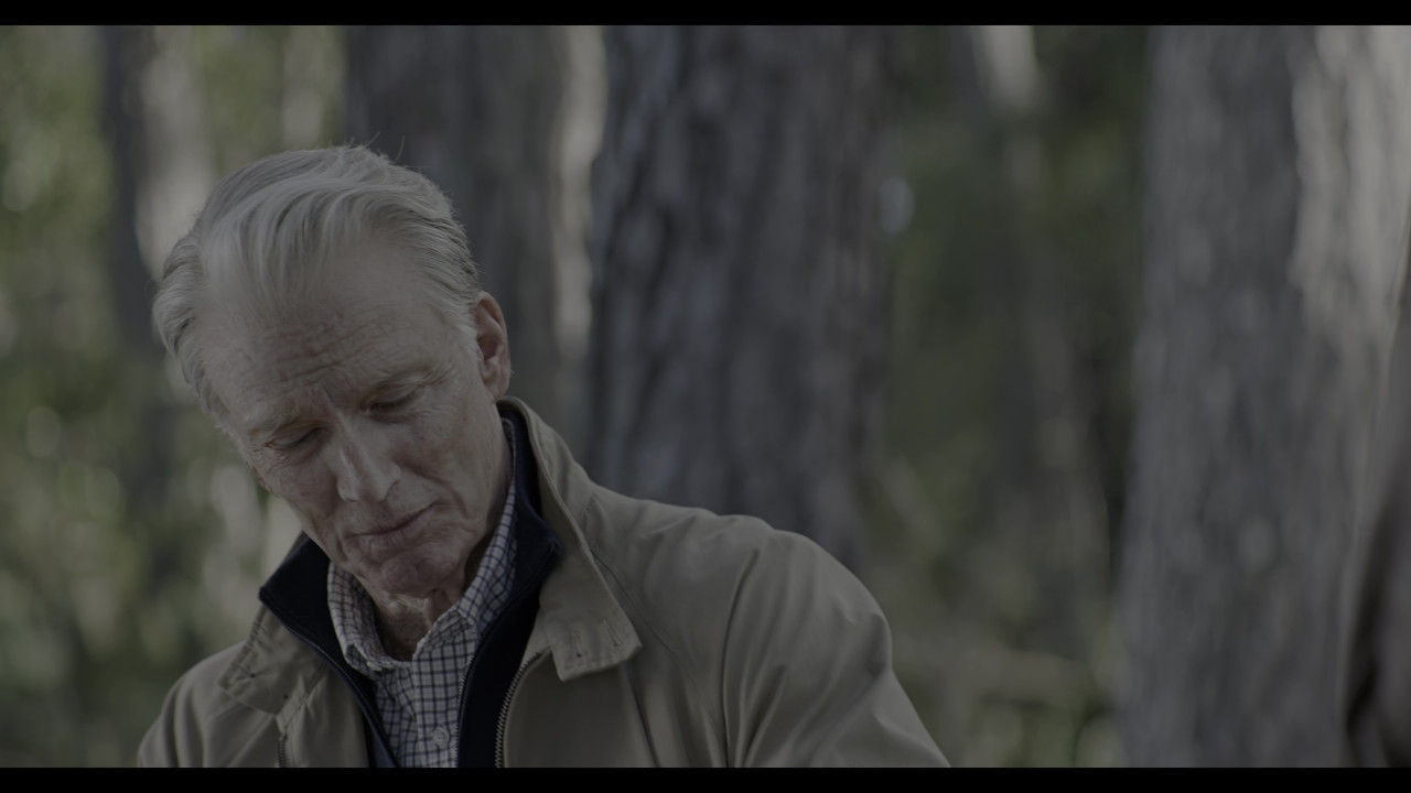 vlcsnap 2026 02 25 19h19m04s158