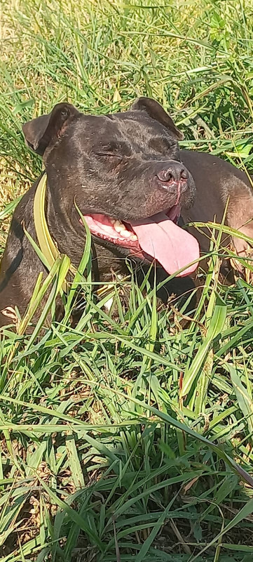 34507E0D-DCAE-4E5A-9BAD-4B758F54A4C2