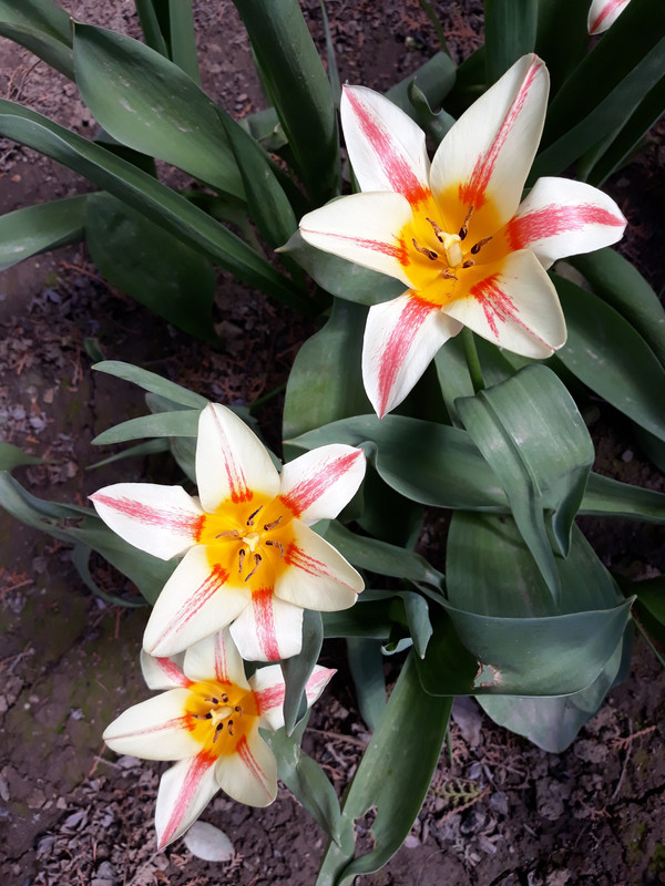 20180408_114601