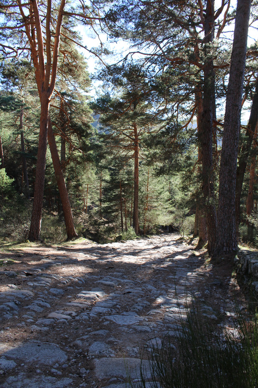 La-Fuenfria-01-calzada-romana