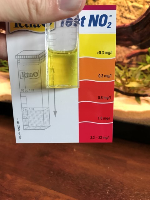 20170504_172216671_iOS (Small)