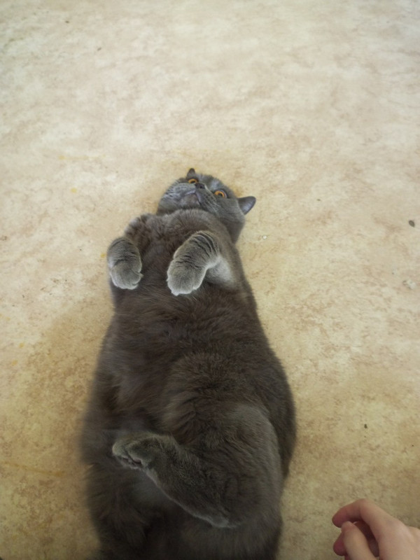 IMG_20230318_152911_166