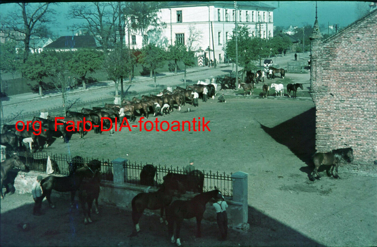 Foto 2WK org. Farb DIA Frankreich WH Pferde Stallung in Gehöft Soldat Top