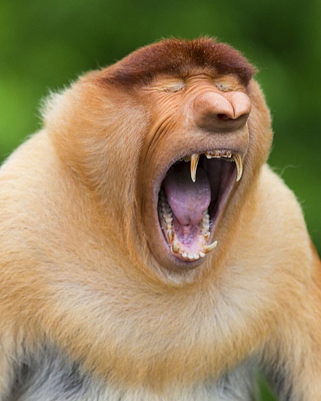 IMG-20240402-142303.jpg