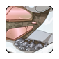 royal-house.png