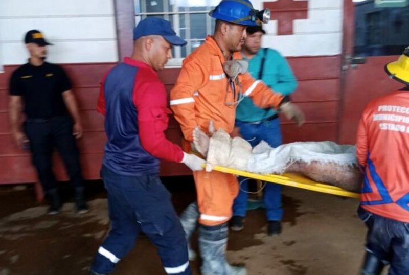 Mueren 12 mineros en El Callao Mueren 12 mineros en El Callao
