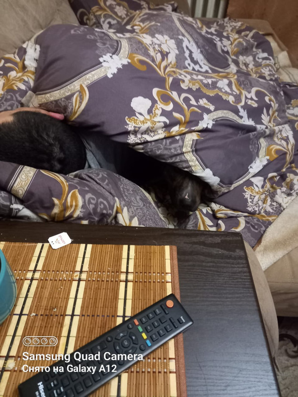 25D7C8C6-C78F-4F4A-A552-8175E92253CE