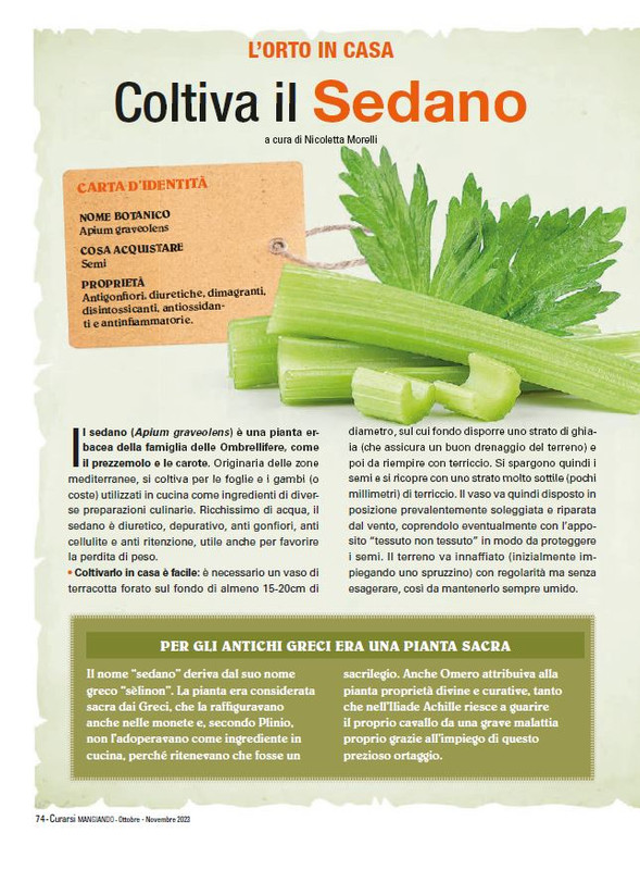 Cur Mang Ott.Nov 2023 (11)