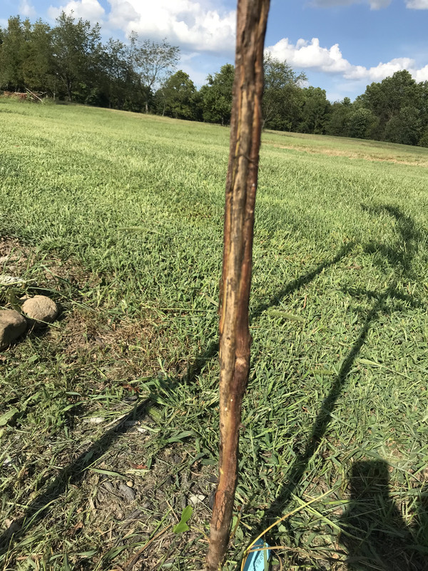 F7596D17-262D-4812-B521-D9C931B2A891