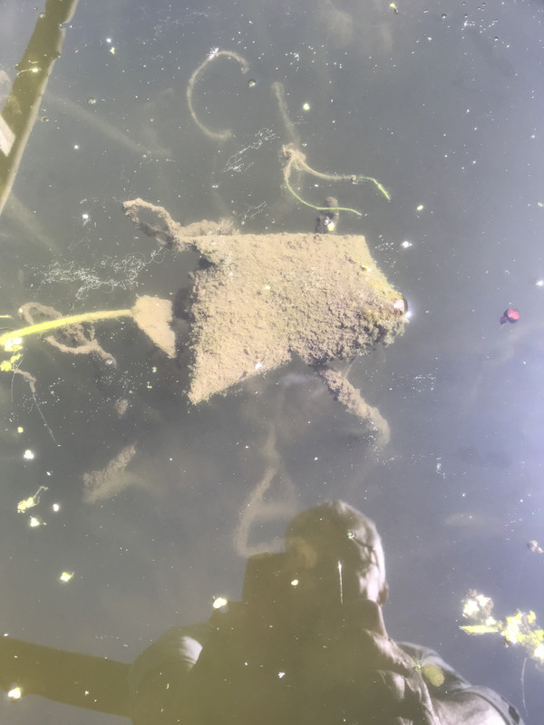 58057E61-9B2E-4B9C-8B75-3FC78D3B21EF