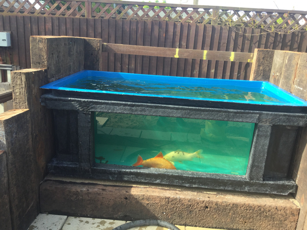 Insulating above ground pond Your Pond Forum Pond Life