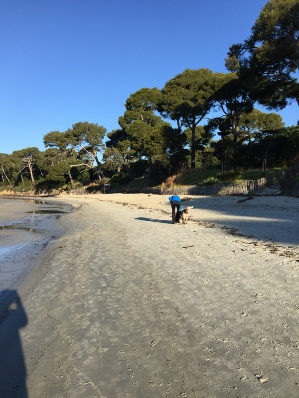 D885EAF9-956A-4C54-8AA4-C66F43638200