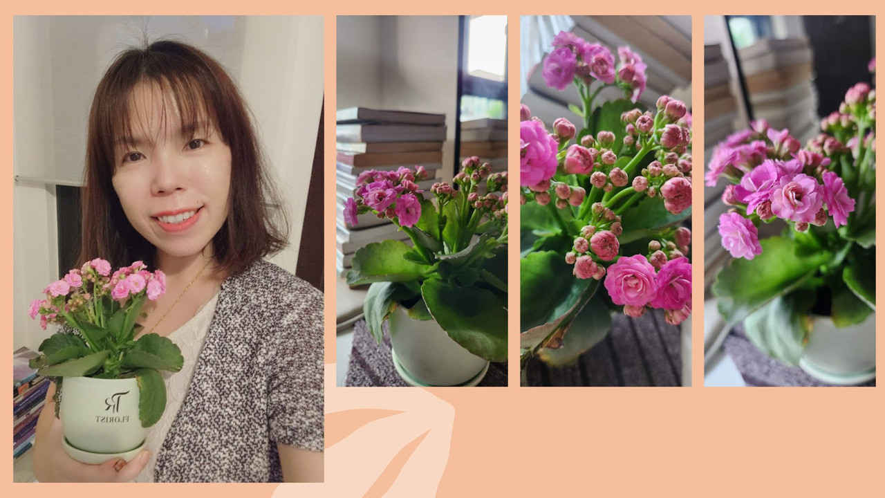 Looking forward to a briht and magical year! (7)