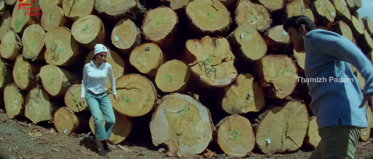 vlcsnap-2025-09-30-17h39m40s916