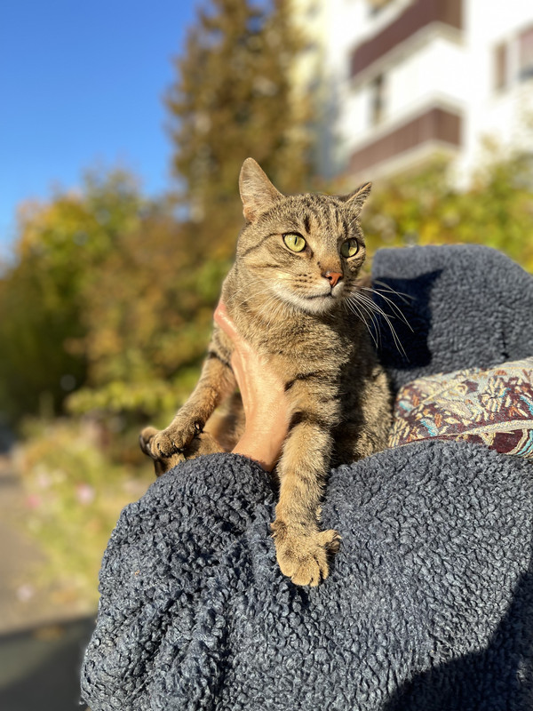 B523F8DF-D1A4-4C5E-A6F8-D0C8CBECAA83