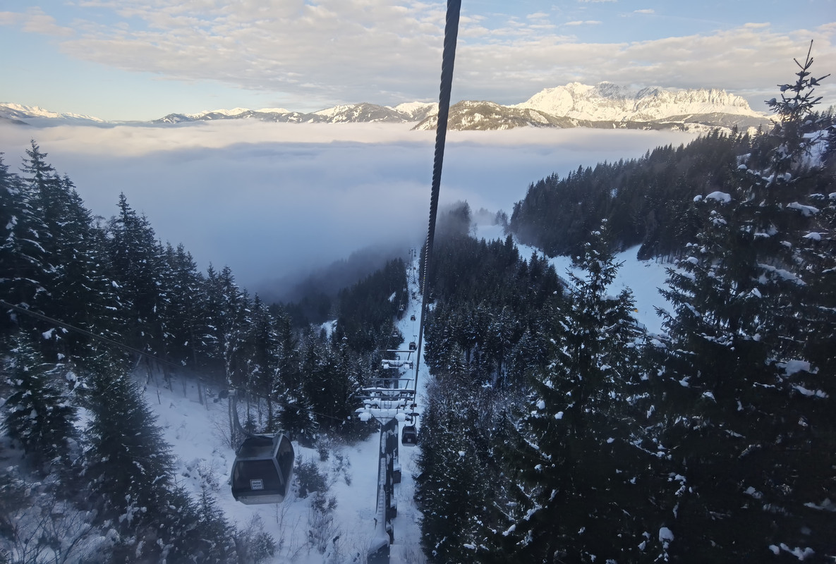 IMG_20220204_083549_1