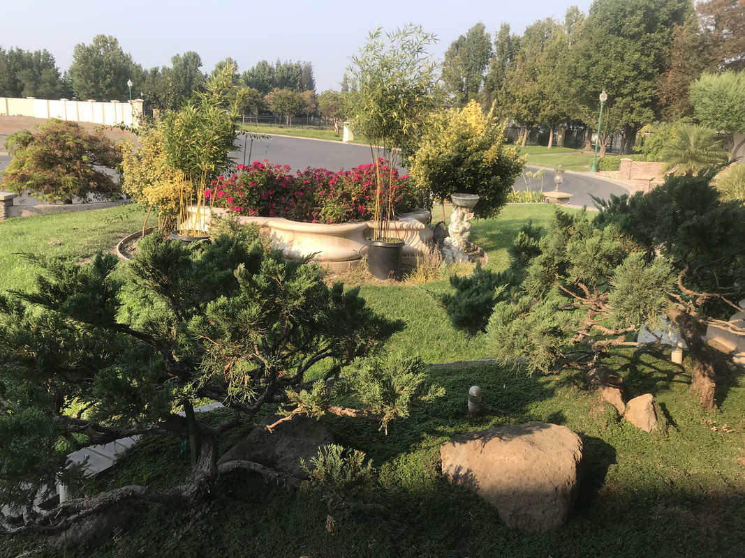 FAA22A8A-C24F-4311-B5C1-1E9B186BD40B