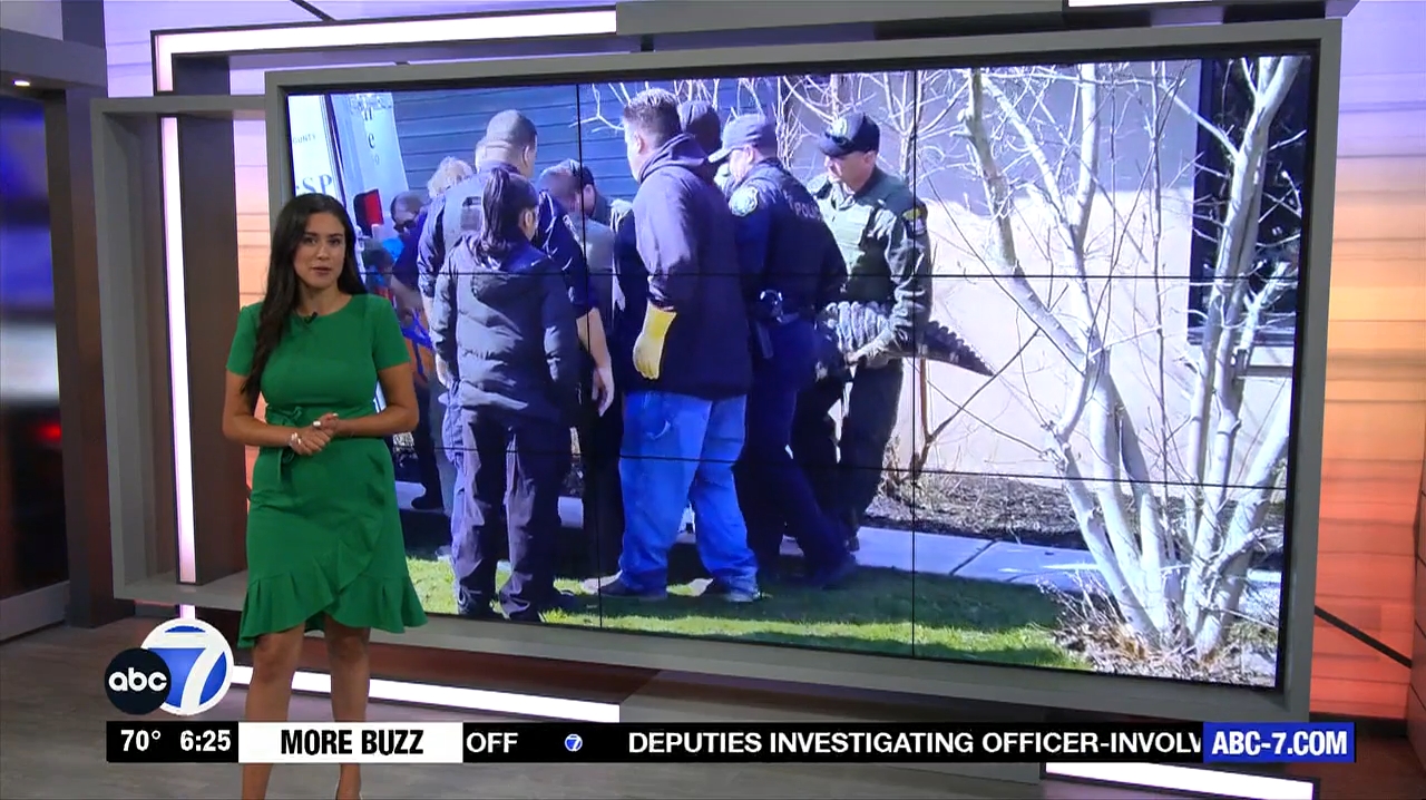 Abc7 More In The Morning Wkn 6Am Su 20240317 10001100-1.mp4_snapshot_21.50.917