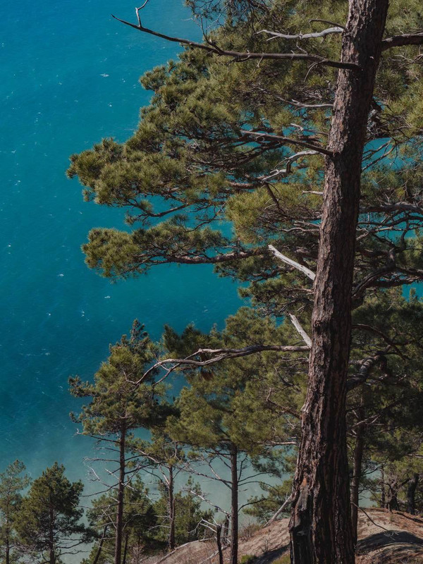 IMG_20250324_090915_956