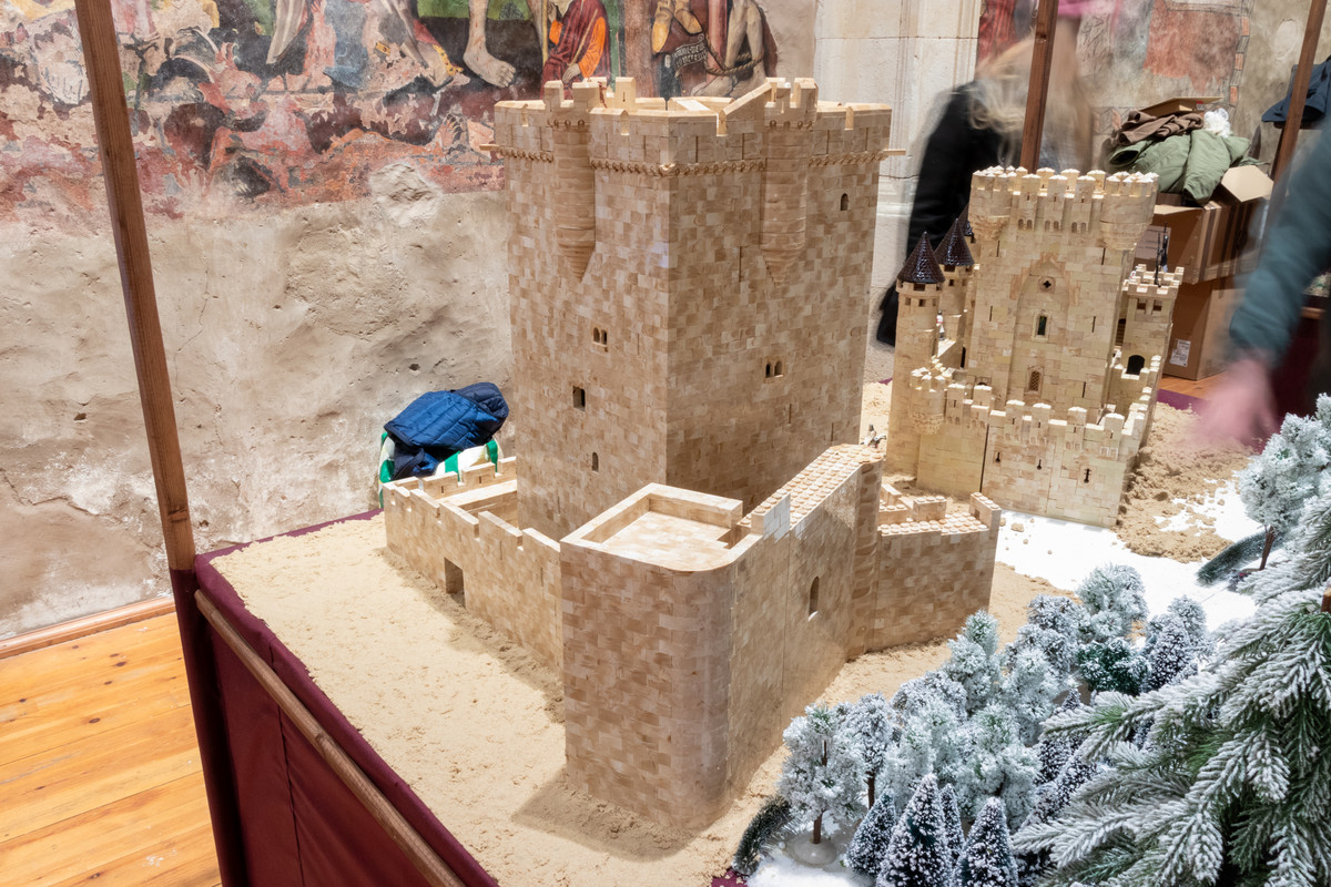 Castillo de San Felices de los Gallegos_4233