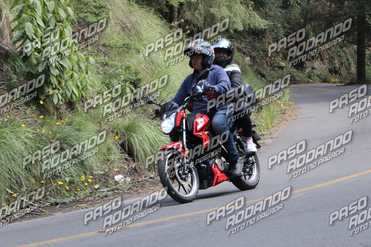 IMG 8456 wm 116924 5 watermarked — Postimages