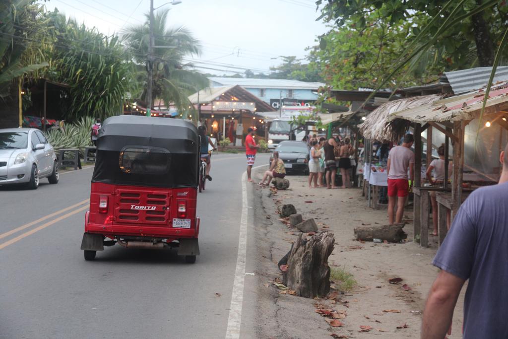 DIA 4: PRIMER DÍA EN PUERTO VIEJO - DE TORTUGAS Y PEREZOSOS. COSTA RICA 2019 (11)