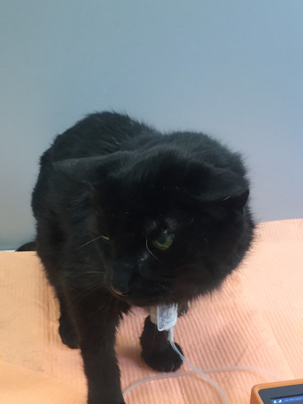 3D964B2B-159E-4729-B16C-0F942405D48E