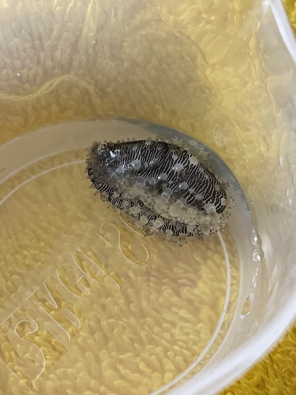 000317BE-B0DC-43BE-9EEE-0158CD272CFF