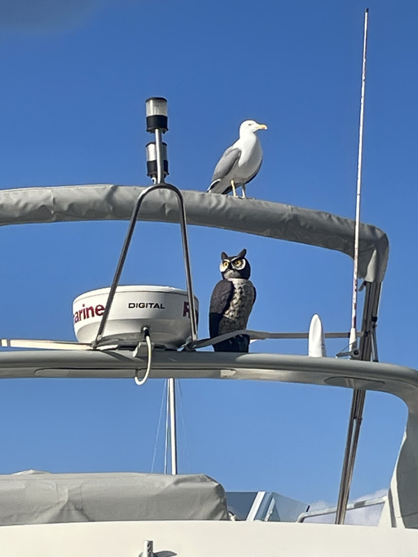 DF29E21A-0413-40DB-A543-667C74445E23