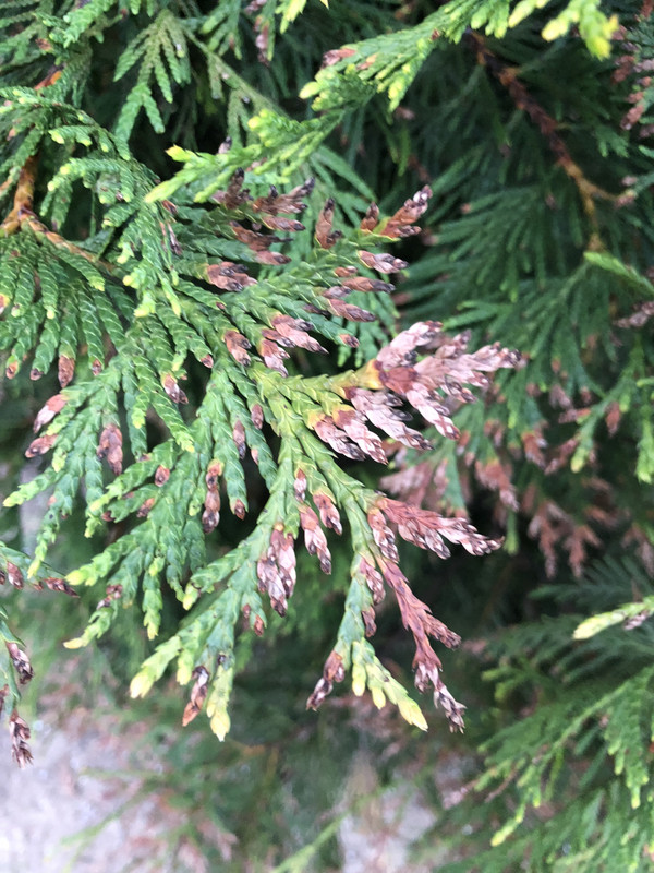 A7B71391-0AE2-4C68-A3AF-6C407C185884