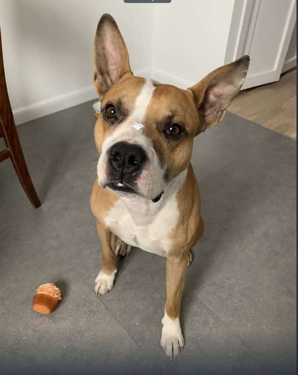 66C9B1C5-0A26-4D84-A0AA-BA1FF1FCDD9D