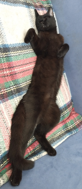 IMG_20250728_152048229~2