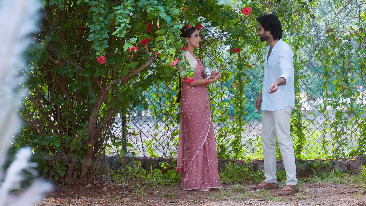 vlcsnap-2025-06-09-08h43m19s342