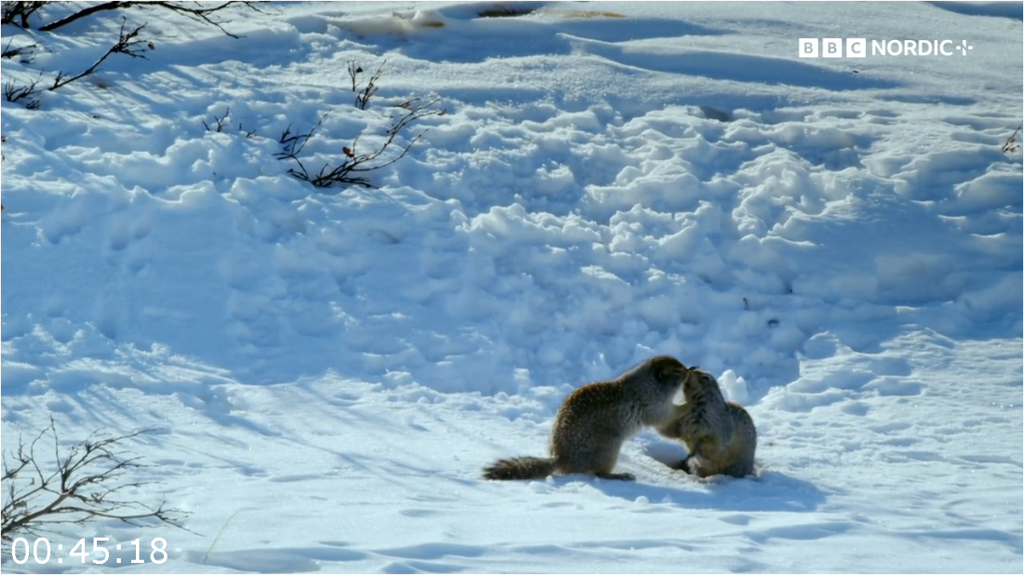 [Image: mhfqfip438y2.png]