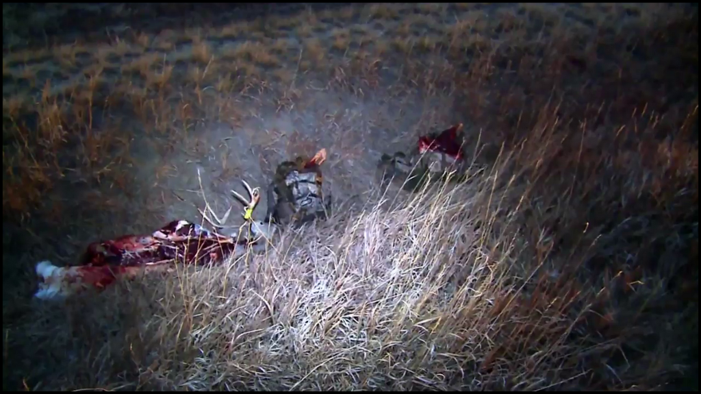 [Image: gdj9xf05zde1.png]